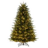 Vickerman 727492 - 6.5' x 53" Artificial Georgian Fraser 2200 3mm Warm White LED Lights Pre-Lit Christmas Tree (K230766LED)