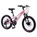 20 Inch Kids Mountain Bikes for Girls and Boys Shimano 7-Speed Mountain Bike Pink