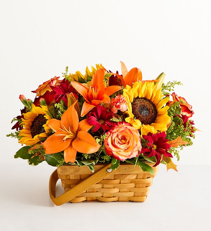1-800-Flowers Seasonal Gift Delivery Fields Of Europe For Fall Basket Medium
