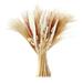 Koaiezne Dried Flowers 65 45cm Fluffy Exaggerated Grass Flower Arrangement Boho Family Wedding Decoration Beige