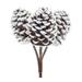 Flocked Pine Cone Bundle (Set of 6), White-Brown - 5.5" x 5.5" x 11"