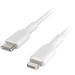 Belkin Boost Charge Lightning to USB-C Cable (3.3', White) CAA003BT1MWH