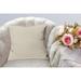 A1HC Set of 2 Luxurious Fine Soft Velvet Throw Pillow Covers Only, For Sofas, Beds, Vibrant Colors and Hidden YKK Zipper