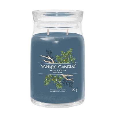 YANKEE CANDLE - BAYSIDE CEDAR Kerzen 567 g