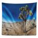 East Urban Home Landscape Joshua Tree in Open Desert Tapestry Polyester in Blue/Gray | 50 H x 60 W in | Wayfair 1FA6BD2A07724129877BED3B5F1FA209