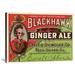 Buyenlarge 'Blackhawk Ginger Ale' Vintage Advertisement in Green/Red | 27" H x 36" W x 1.5" D | Wayfair GCS-376177-36-144