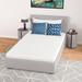 Twin 5" Memory Foam Mattress - Alwyn Home Orderville Plush | 75 H x 39 W 5 D in Wayfair B643749A99B442F6AB38CA5128033C07