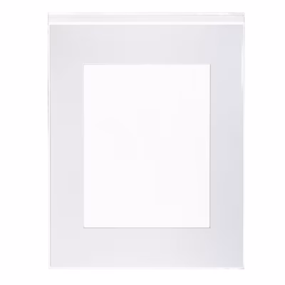 Crystal Clear Bags with Adhesive Flap for thin 16 x 20 Posters Matted Art or Pictures Bag Size: 16 1/4" x 20 1/16" 100 Bags |