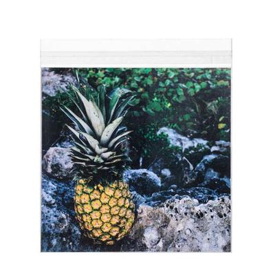 Self Adhesive Flap Crystal Clear Sleeves Perfect for Square Envelopes Bag Size: 8 1/4" x 8 1/16" 100 Bags Crystal Clear Bags