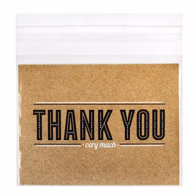 Crystal Clear Bags® with Flap 5 3/8" x 4 1/4" 100 pack