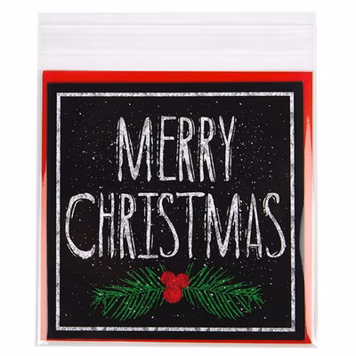 Durable Flap Seal Clear Bags For Art & Photo Presentation Bag Size: 5 7/16" x 5 5/16" 100 Bags Crystal Clear Bags