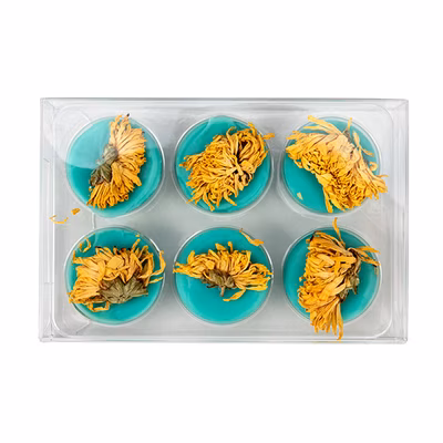 Clear Artisan Candy Box Set, Round Insert 2 3/4" x 13/16" x 4 1/16" 25 pack