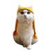 Sunisery Pet Hat Cute Cat Beanie Hat Soft Warm Braids Wig Hat Kawaii Pet Cosplay Costume Party Supplies