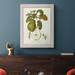 August Grove® Porterfield Vintage Pears IV Framed On Canvas Print Metal in Black/Blue/Green | 32 H x 23 W x 2.5 D in | Wayfair