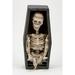 The Holiday Aisle® 28" Animated Halloween Squirming Mummy On Coffin Plastic | 28 H x 5 W x 5 D in | Wayfair 437F6B3531124349AA72631C9E78BC48