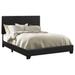 Coaster Furniture Dorian Upholstered Bed