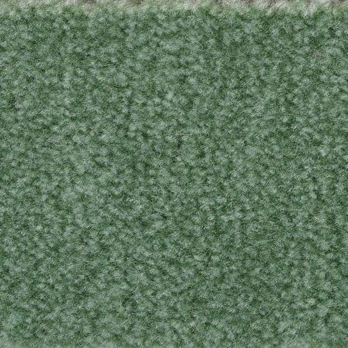 „BODENMEISTER Teppichboden „“Veloursteppich Jupiter““ Teppiche Wohnzimmer, Schlafzimmer, Kinderzimmer, Breite 400500 cm Gr. B/L: 500 cm x 250 cm, 7,5 mm, 1 St., grün Teppichboden“