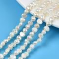 2Strand Grade AA Natural Cultured Freshwater Pearl Beads Strands Oval Seashell Color 4~5.5x5~6.5x3~5mm Hole: 0.7mm about 74~76pcs/strand 13.66 inch~13.94 inch(34.7cm~35.4cm)