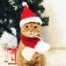 Dog Cat Pet Santa Hat with Scarf Christmas Costume Set Pet Clothing with Santa Hat and Scarf for Cat Puppy Dog Red Christmas Hat