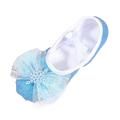 QIANGONG Toddler Shoes Children Shoes Dance Shoes Warm Dance Ballet Performance Indoor Shoes Yoga Dance Shoes (Color: Blue Size: 29 )