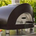 ALFA Nano Gas or Wood Fire Hybrid Pizza Oven (Wood Oven Only)