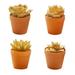 4pcs simulation succulents bonsai creative ornaments artificial golden plants interior decoration - type:style2