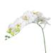 Orchid Artificial Flower Flowers Wedding Decoration Simulation Plants Arrangements Arrangement White Stem Plant Faux