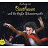 Ludwig van Beethoven und die heisse Silvesternacht, m. 1 Buch, 3 Teile - Michael Vonau