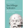 Stechfliege Sokrates - Ekkehard Martens