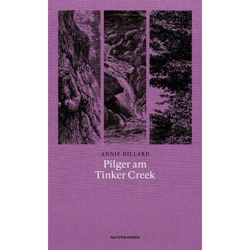 Pilger am Tinker Creek – Annie Dillard
