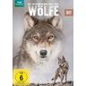 Die faszinierende Welt der Wölfe (DVD) - WVG Medien