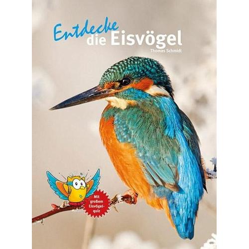 Entdecke die Eisvögel – Thomas Schmidt