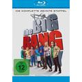 The Big Bang Theory - Staffel 10 BLU-RAY Box (Blu-ray Disc) - Warner Home Video