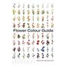 Flower Colour Guide - Darroch Putnam, Michael Putnam