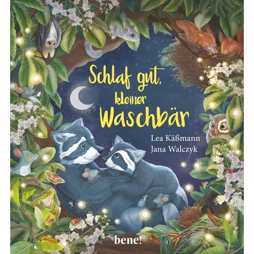 Schlaf gut, kleiner Waschbär – ein Bilderbuch für Kinder ab 2 Jahren – Lea Käßmann