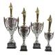 Personalised Silver Presentation Cup Beauty Pageant Queen Trophy Award Engraved - Enter Your Own Custom Text (Extra Large)