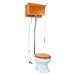 The Renovators Supply Inc. 1.6 GPF Elongated Wall Hung Toilet (Seat Not Included) in White/Brown | Wayfair 21745