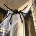 The Holiday Aisle® Halloween Spider Decorations, 5 Pcs Realistic Hairy Spiders For Indoor, Outdoor in Black | 3.19 H x 19.7 W x 9 D in | Wayfair