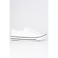 Mens Classic Low Top Trainers