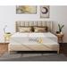 Full 8" Gel Mattress - Alwyn Home Nikolas 8 inch Particles Infused | 75 H x D in Wayfair BF19D556C6A34224AF7AB646EFEF4D2A