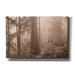 Millwood Pines Enchanted Forest II On Canvas by Igor Svibilsky Print Metal in Gray/Green | 40 H x 60 W x 1.5 D in | Wayfair