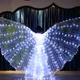 LED Isis Wings Belly Dance Colorful Butterfly Wings Glowing Light Up Costume Performance Clothing