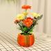 Ploknplq Flower Pots Pots Pumpkin Flower Pot Decoration Ornaments Home Decoration Thanksgiving Decoration Hanging Planter C