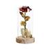 Jikolililili Gold Foil Roses with Lights Glass Cover Ornaments Led Night Light Home Supplies on Clearance