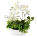 Orchids Artificial Flowers 14 Large Fake Orchid White Phalaenopsis Orchid Flower Arrangements with