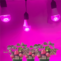 2 PCS 9W LED Grow Light Plant Growth Bulb E27 Base Water Companion Room Garden Greenhouse Ideal for Indoor Plants Greenhouses Large House Plants Gardens Hydroponics Grow Tent