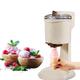 Fruit Soft Serve Ice Cream Machine - Make Healthy and Delicious Sherbet, Sorbet and Gelato with Fully Automatic Mini Frozen Yogurt Maker