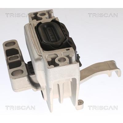 Triscan Lagerung, Motor [Hersteller-Nr. 850529129] für Audi, Cupra, Seat, Skoda, VW Image