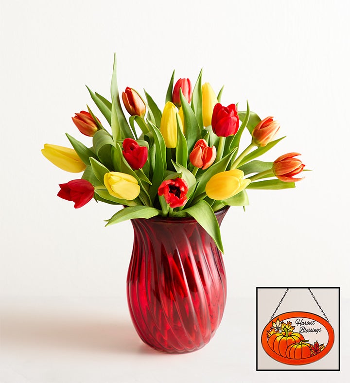 1-800-Flowers Seasonal Gift Delivery Our Favorite Fall Tulips 15 Stems W/ Red Vase & Suncatcher