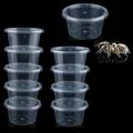 10 Pcs Spider Terrariums Breeding Box Small Round Hatching Container Acrylic Feeding Box for Spider Scorpion Centipede Insect